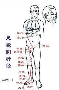 十四经络手法视频,轻松掌握人体健康密码