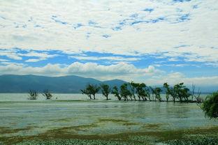 云南风光视频,自然画卷中的多彩云南